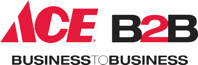 Ace B2B logo
