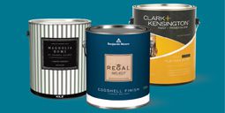 Interior and Exterior Paint