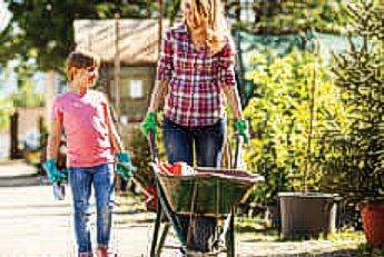 Lawn & Garden